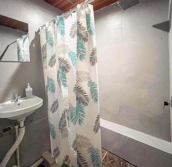 ペンション Bambú Lodge San Jose Airport