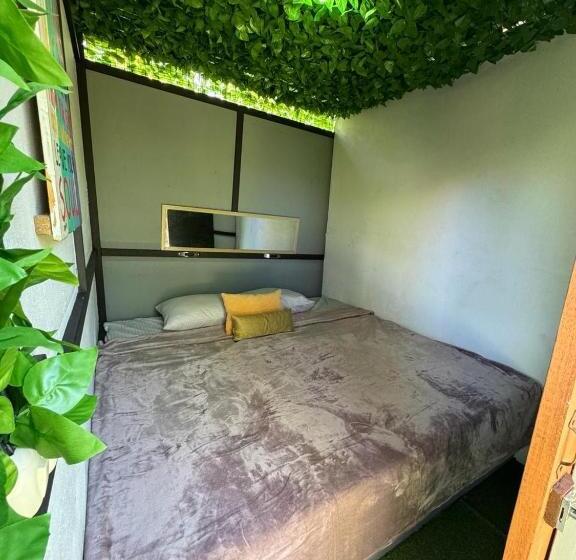 ペンション Bambú Lodge San Jose Airport