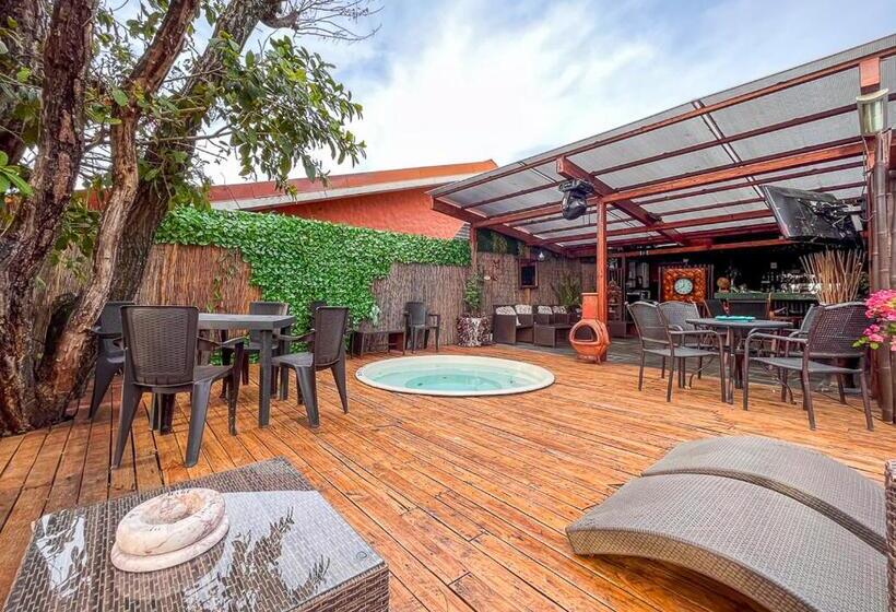 ペンション Bambú Lodge San Jose Airport