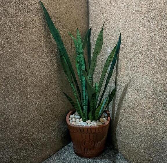 Summer Day Beach Resort Koh Phangan