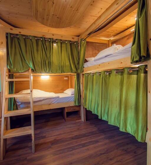 The Forest Pinnacle Hostel And Café, Old Manali