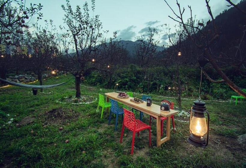 The Forest Pinnacle Hostel And Café, Old Manali