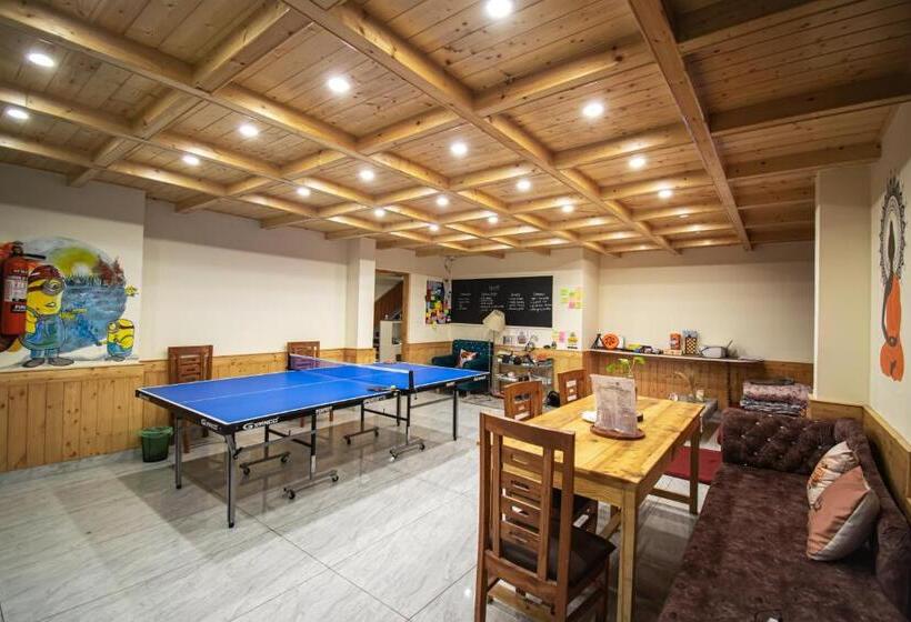 The Forest Pinnacle Hostel And Café, Old Manali