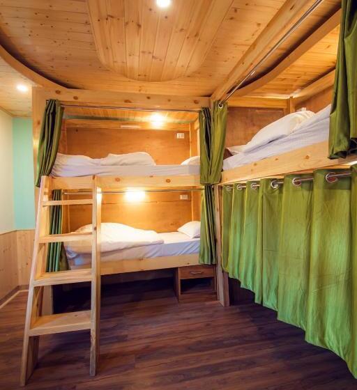 The Forest Pinnacle Hostel And Café, Old Manali