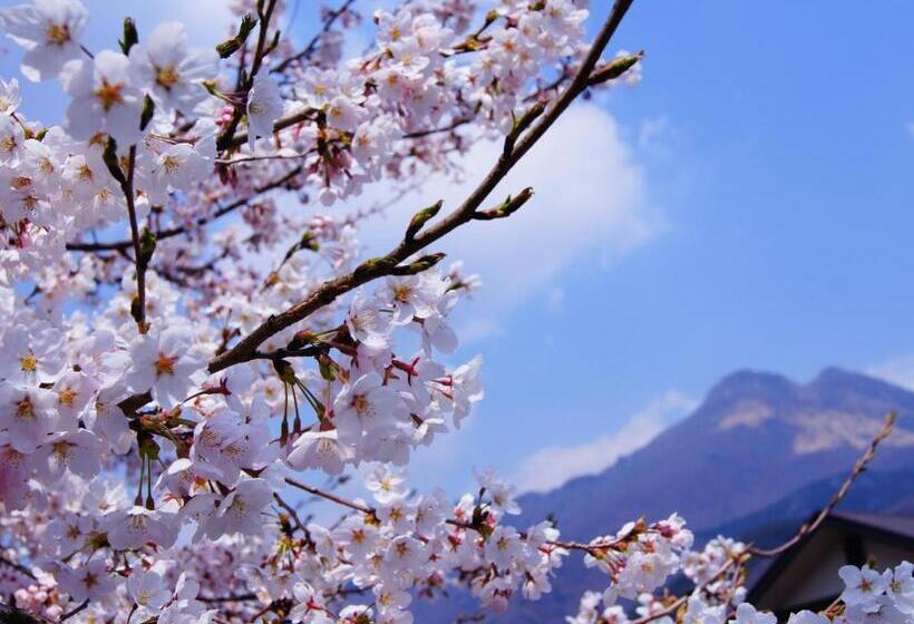 Yufuin Onsen Ryokan Hananomai