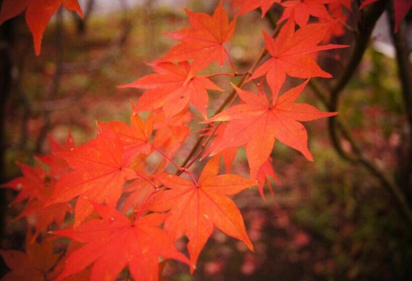 Yufuin Onsen Ryokan Hananomai