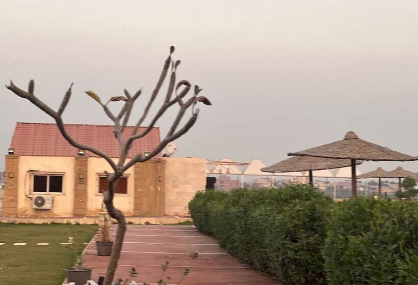 مبيت وإفطار Camp Pyramids View