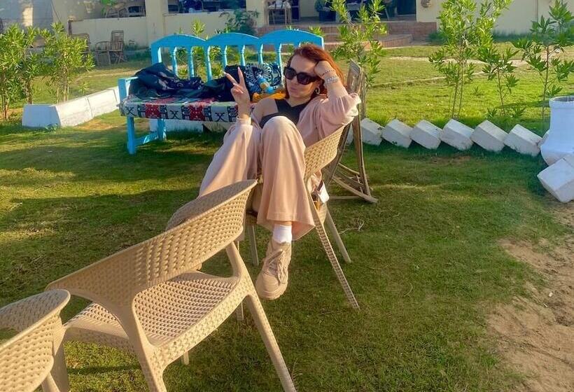 مبيت وإفطار Camp Pyramids View