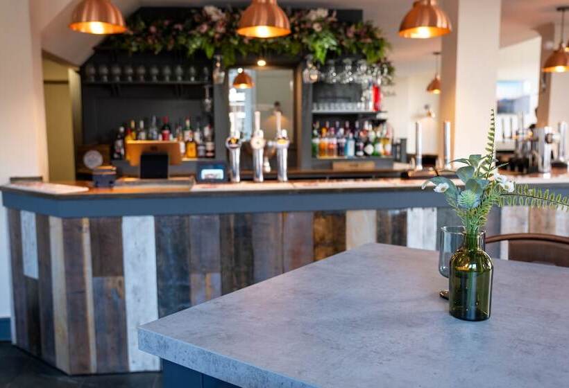 ベッドアンドブレックファースト Station Lounge & Rooms