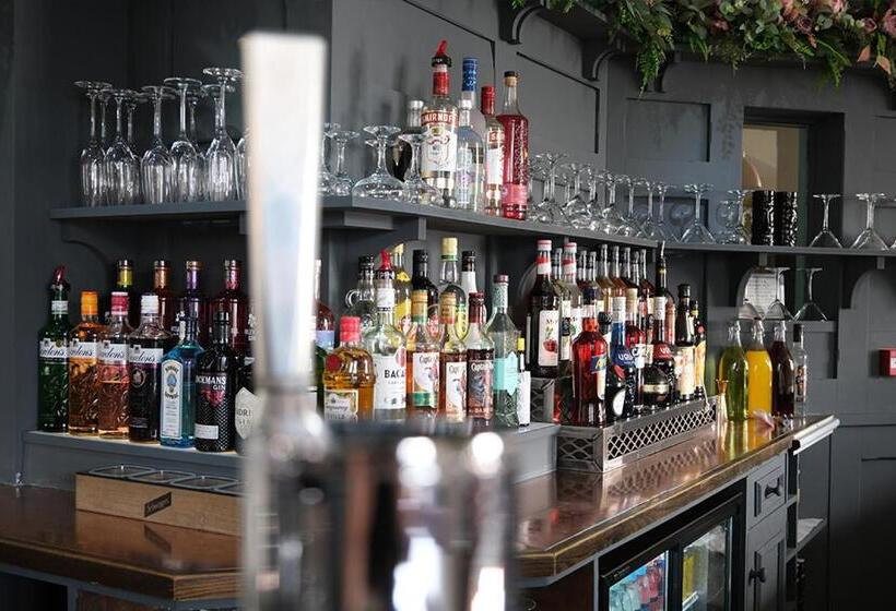 ベッドアンドブレックファースト Station Lounge & Rooms