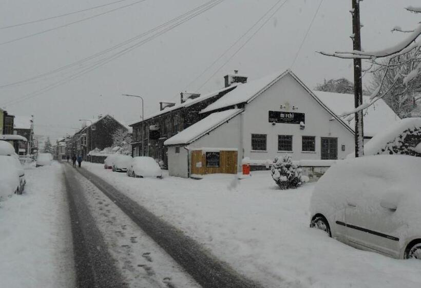 مبيت وإفطار The Bear