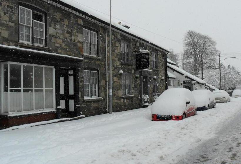 Bed and Breakfast The Bear