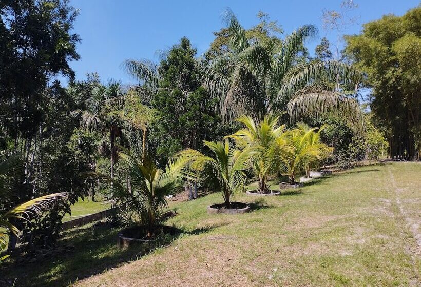 هتل Amazon Lodge Varillal