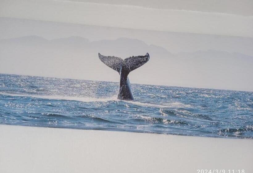 בית מלון כפרי Auberge Du Nord