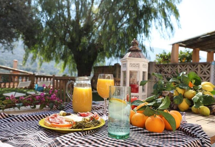 호텔 Can Pera Accommodation   Ti