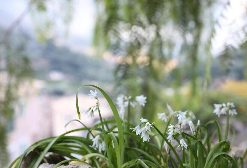 호텔 Can Pera Accommodation   Ti