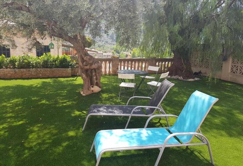 호텔 Can Pera Accommodation   Ti