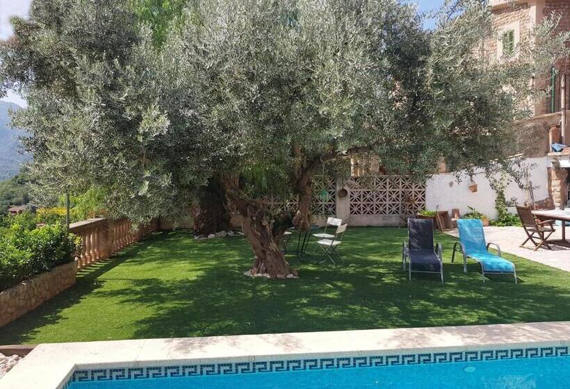 호텔 Can Pera Accommodation   Ti