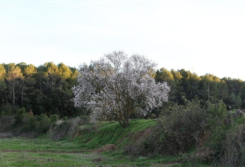 Отель Masia Can Rovira