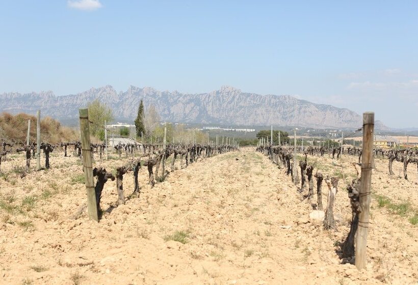 Отель Masia Can Rovira