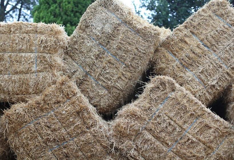 Отель Masia Can Rovira