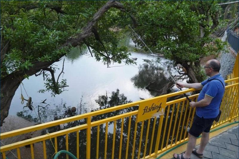 Отель Mazhavilkadu Forest Resort & Restaurant