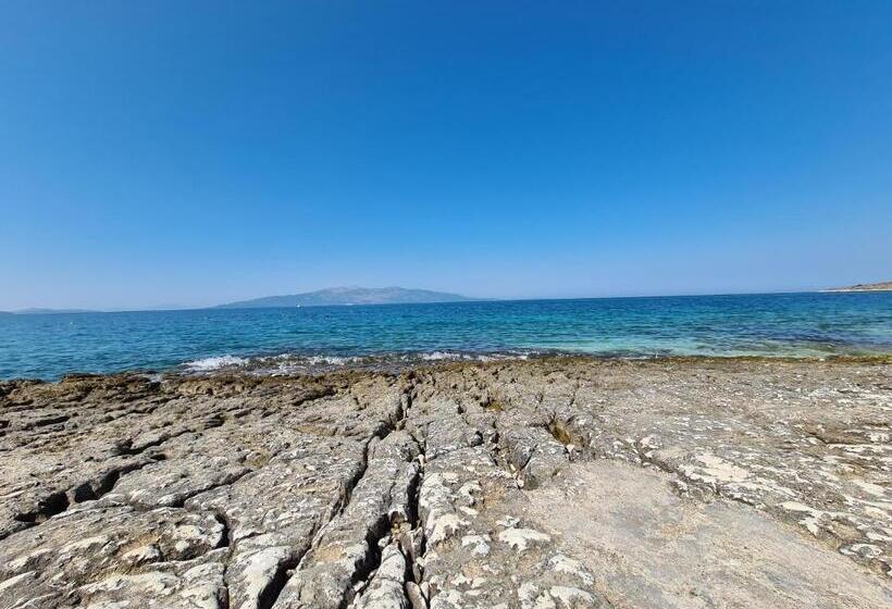 فندق Ortus Rooms