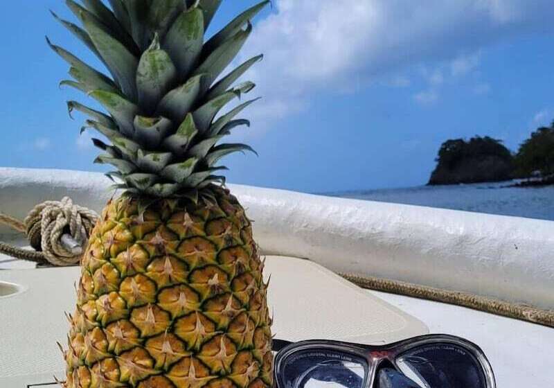 فندق La Posada Del Buzo