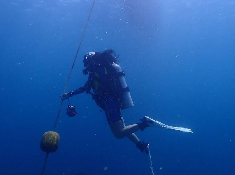 فندق La Posada Del Buzo