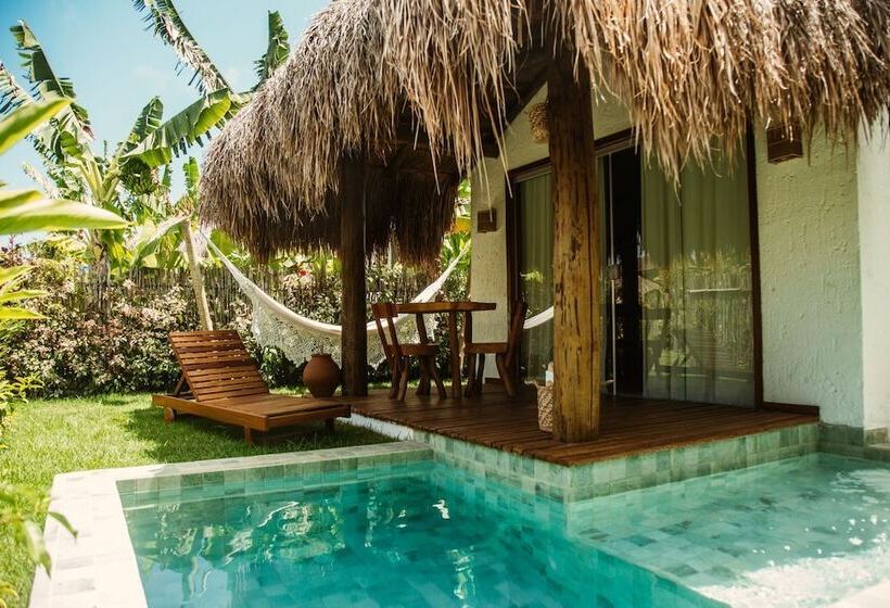 בית מלון כפרי Pousada Zaya