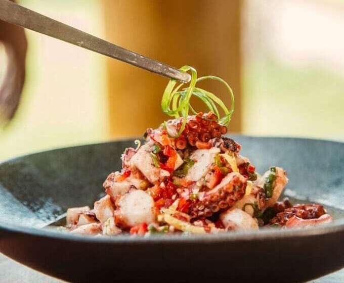 בית מלון כפרי Pousada Zaya