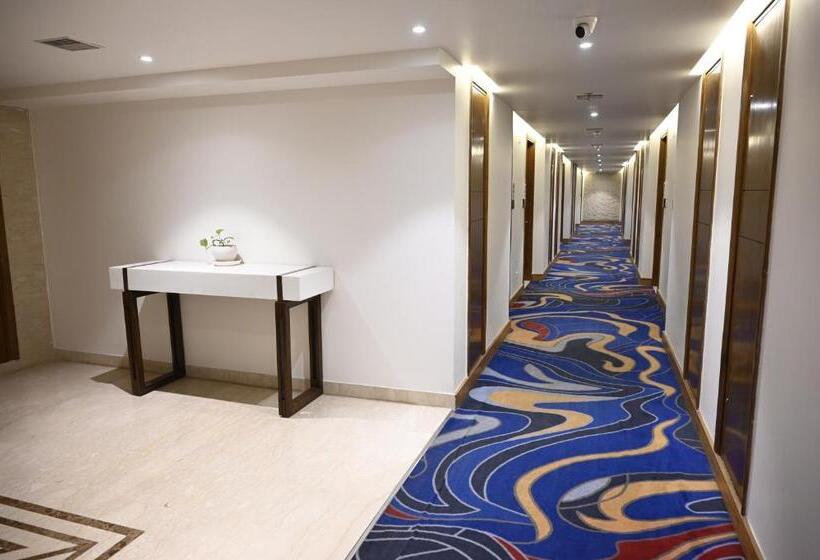 酒店 Rama Continental