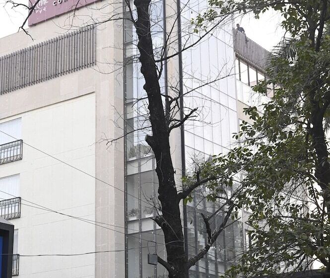 酒店 Rama Continental