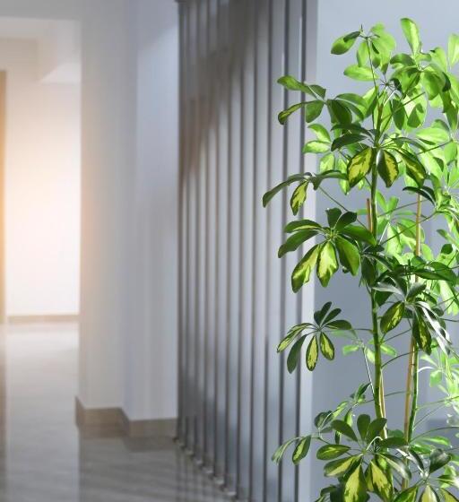 בית מלון כפרי Summer Inn