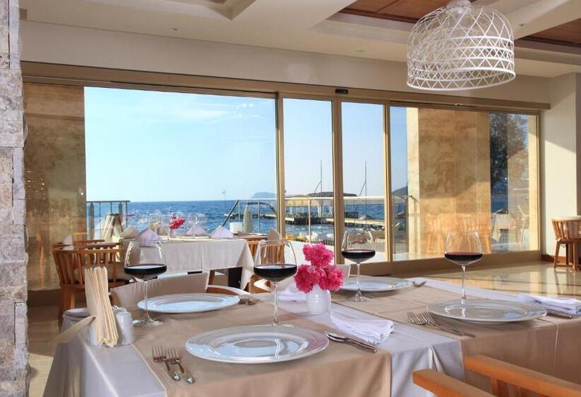 فندق Sundance Suites