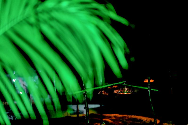 בית מלון כפרי The Restfo Pench Tiger Resort