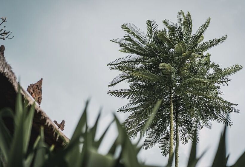 בית מלון כפרי The Retreat At Kharista By Ekosistem