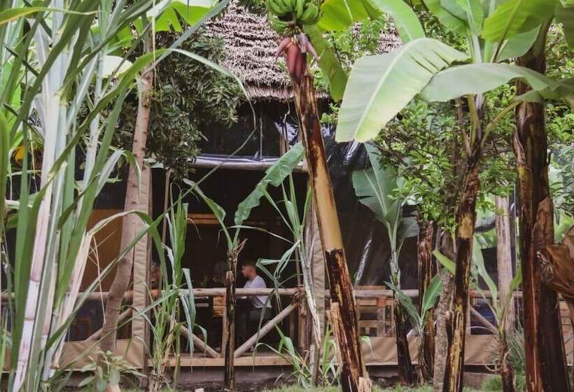 Jangwani River View Inn