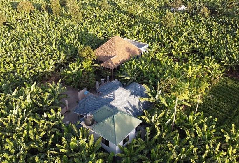 Jangwani River View Inn