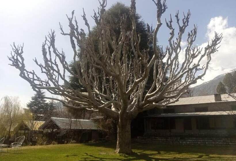 Mountain Inn Hotel Chitral