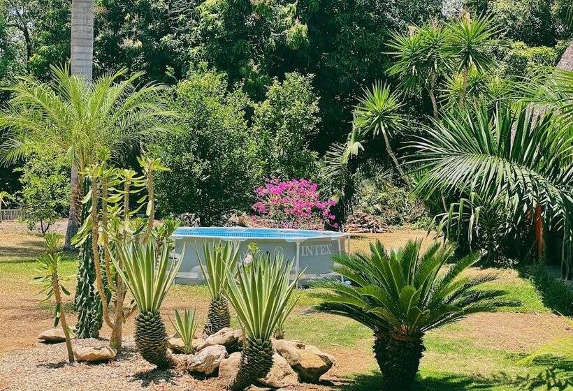 Пансион El Ranchito Surfcamp