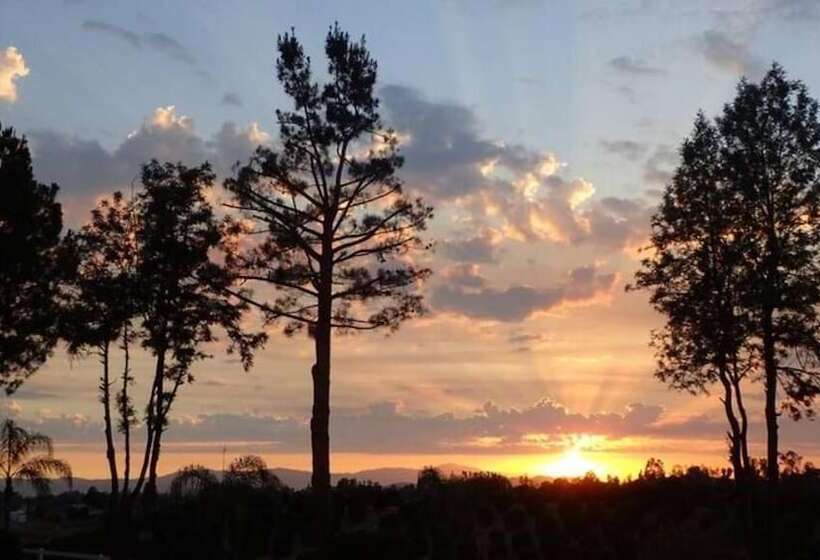 פנסיון Magic Villas