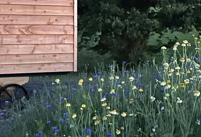 Stunning Shepherdhut/woodburner/openviews/barbeque