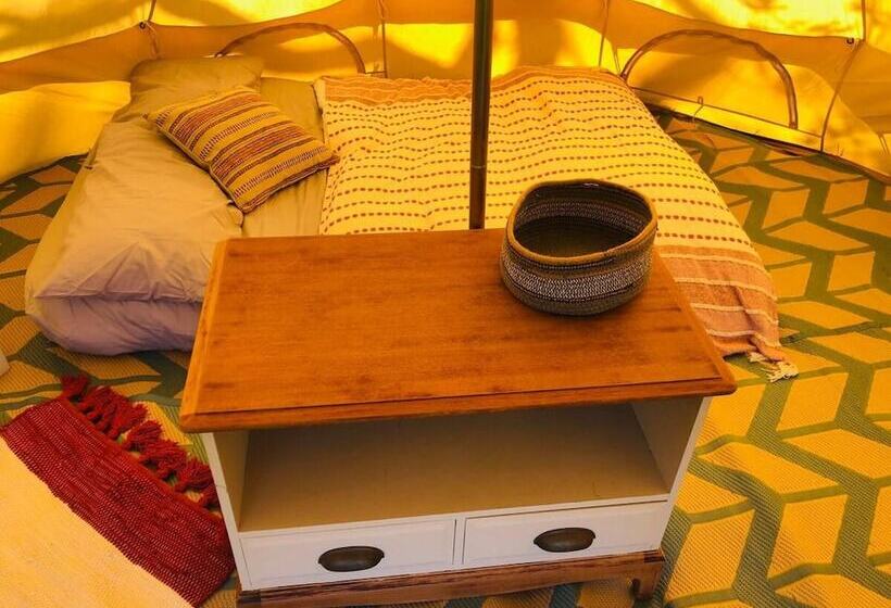 Bell Tent , Carreglwyd Estate, Anglesey