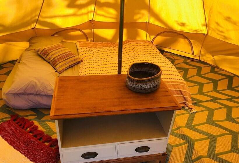 Bell Tent , Carreglwyd Estate, Anglesey
