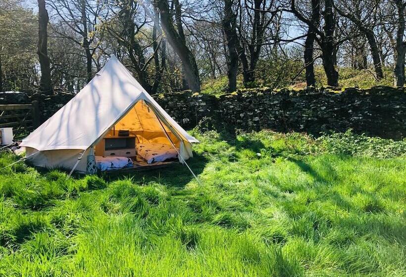 Bell Tent , Carreglwyd Estate, Anglesey