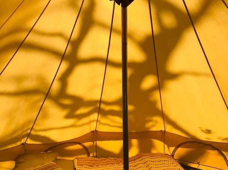 Bell Tent , Carreglwyd Estate, Anglesey