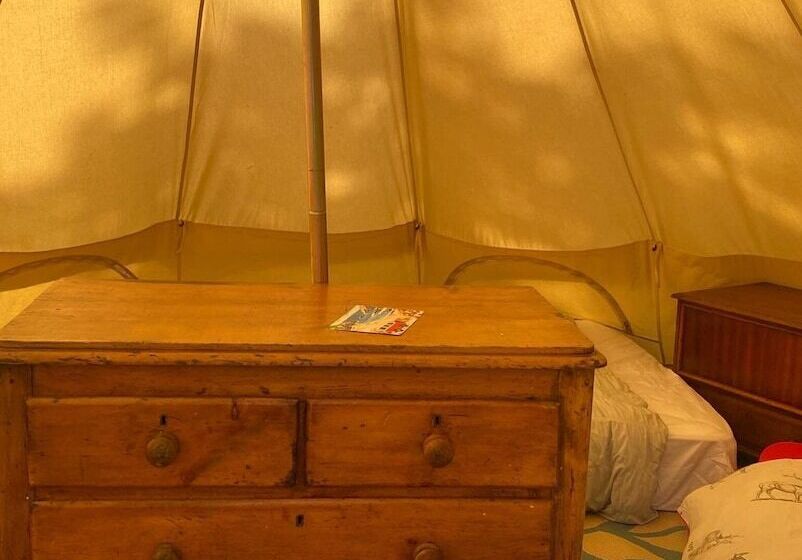 Elm   Bell Tent, Anglesey, North Wales