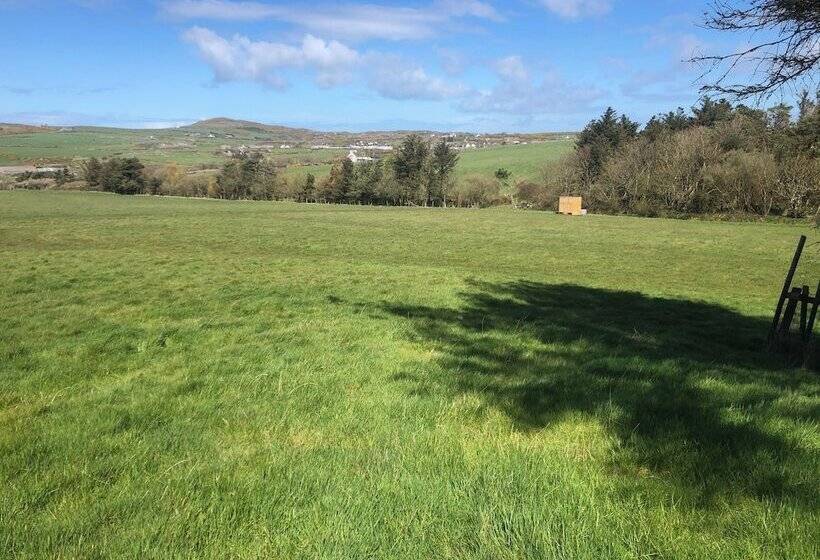 Elm   Bell Tent, Anglesey, North Wales