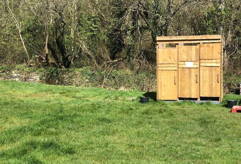 Elm   Bell Tent, Anglesey, North Wales